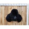 Image 1 : 100% Reproduction Silver Back Gorilla Shoulder Mount Taxidermy