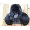 Image 2 : 100% Reproduction Silver Back Gorilla Shoulder Mount Taxidermy