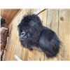 Image 8 : 100% Reproduction Silver Back Gorilla Shoulder Mount Taxidermy