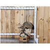 Image 1 : Gorgeous Gray Fox Full Body Taxidermy Mount