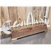 Image 5 : Complete Set Of HUGE Hippopotamus Tusks Taxidermy