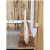 Image 6 : Complete Set Of HUGE Hippopotamus Tusks Taxidermy