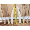 Image 7 : Complete Set Of HUGE Hippopotamus Tusks Taxidermy