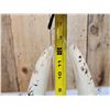 Image 8 : Complete Set Of HUGE Hippopotamus Tusks Taxidermy