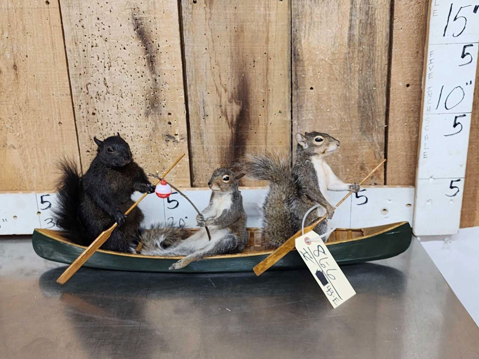 Squirrel Riding A Fish Family Of Squirrels Goin Fishing Taxidermy