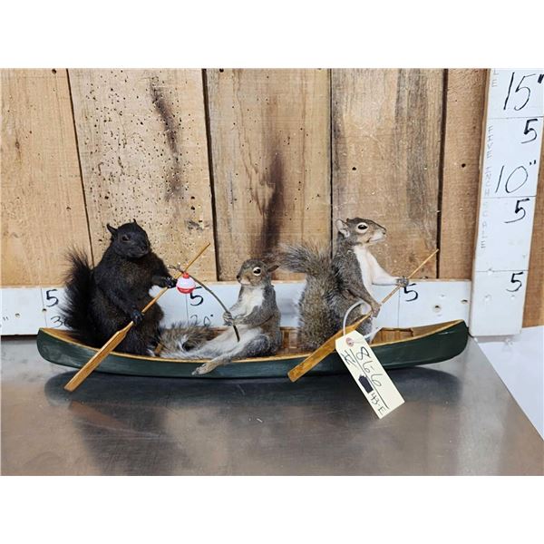 Family Of Squirrels Goin Fishing Taxidermy
