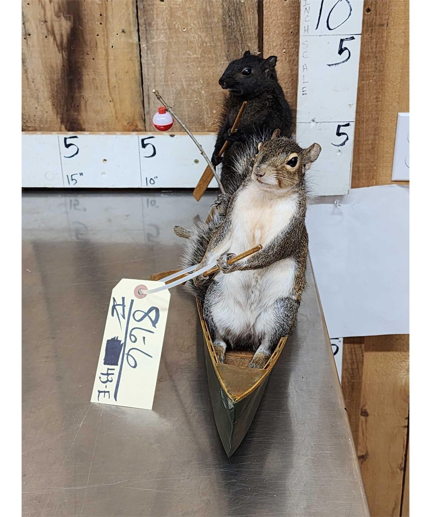 Squirrel Riding A Fish Family Of Squirrels Goin Fishing Taxidermy