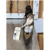 Image 2 : Family Of Squirrels Goin Fishing Taxidermy