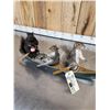 Image 4 : Family Of Squirrels Goin Fishing Taxidermy