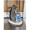 Image 4 : 3 Cute Naughty Critters Taxidermy Lot