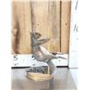 Image 7 : 3 Cute Naughty Critters Taxidermy Lot