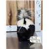 Image 1 : Skunk Full Body Taxidermy Mount