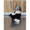 Image 3 : Skunk Full Body Taxidermy Mount