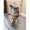 Image 12 : 3 Raccoons On A Bobsled Taxidermy