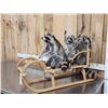 Image 1 : 3 Raccoons On A Bobsled Taxidermy