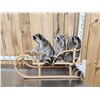 Image 2 : 3 Raccoons On A Bobsled Taxidermy