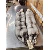 Image 3 : 2 Blue Ranch Fox Soft Tanned Furs Taxidermy