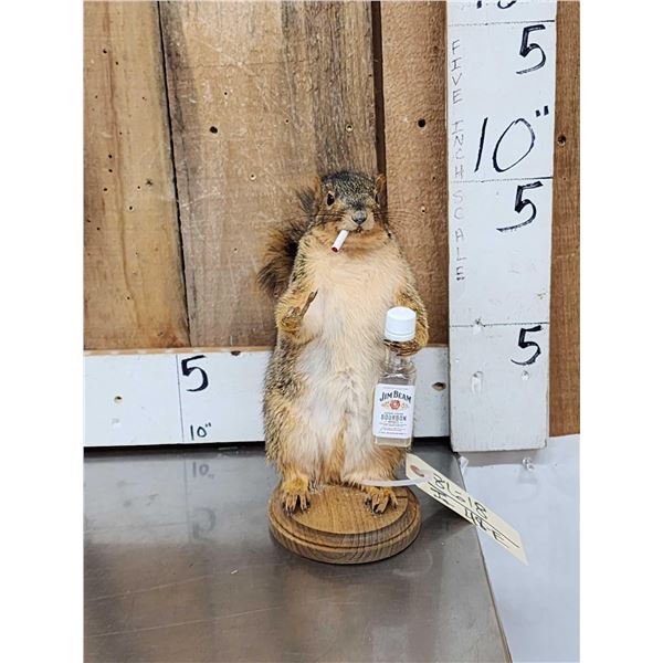 Naughty Squirrel Full Body Taxidermy Mount