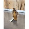 Image 4 : Naughty Squirrel Full Body Taxidermy Mount