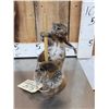Image 3 : Squirrel On A Stripper Pole Taxidermy