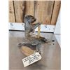 Image 4 : Squirrel On A Stripper Pole Taxidermy