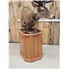 Image 10 : Giant Red Stag Pedestal Taxidermy Mount