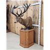 Image 2 : Giant Red Stag Pedestal Taxidermy Mount