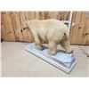Image 10 : Polar Bear Full Body Taxidermy Mount