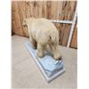 Image 11 : Polar Bear Full Body Taxidermy Mount