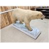 Image 3 : Polar Bear Full Body Taxidermy Mount