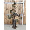Image 1 : Grey Fox Full Body Pedestal Taxidermy Mount