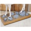 Image 12 : Spectacular Alaskan Dall Sheep Full Body Taxidermy Mount