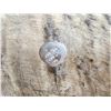 Image 13 : Spectacular Alaskan Dall Sheep Full Body Taxidermy Mount