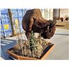 Image 2 : Giant American Bison Buffalo Half Body Taxidermy Mount