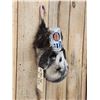 Image 3 : Opossum Hanging By It's Tail Drinking Beer Taxidermy