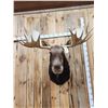 Image 2 : Boone & Crockett All Time Recod Book 182 6/8" Shiras Moose