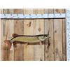 Image 1 : 37" Northern Pike Real Skin Fish Taxidermy