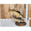 Image 1 : 26" & 27" Walleye Real Skin Fish Taxidermy
