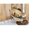 Image 2 : 26" & 27" Walleye Real Skin Fish Taxidermy