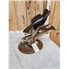 Image 4 : 26" & 27" Walleye Real Skin Fish Taxidermy