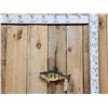 Image 1 : 14" Perch Real Skin Fish Taxidermy
