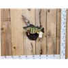 Image 1 : 15" Perch Reproduction Fish Taxidermy