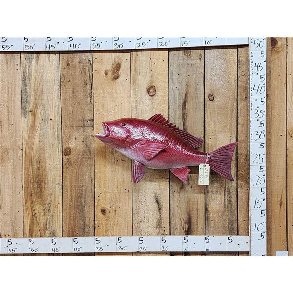 32" Red Fish Reproduction Fish Taxidermy Mount