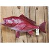 Image 2 : 32" Red Fish Reproduction Fish Taxidermy Mount