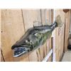 Image 4 : 36" Walleye Reproduction Fish Taxidermy