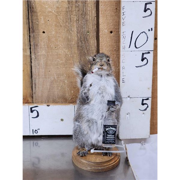 Naughty Squirrel Full Body Taxidermy Mount