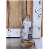 Image 1 : Naughty Squirrel Full Body Taxidermy Mount