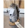Image 3 : Naughty Squirrel Full Body Taxidermy Mount