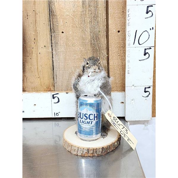 Naughty Squirrel Full Body Taxidermy Mount