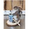 Image 3 : Naughty Squirrel Full Body Taxidermy Mount